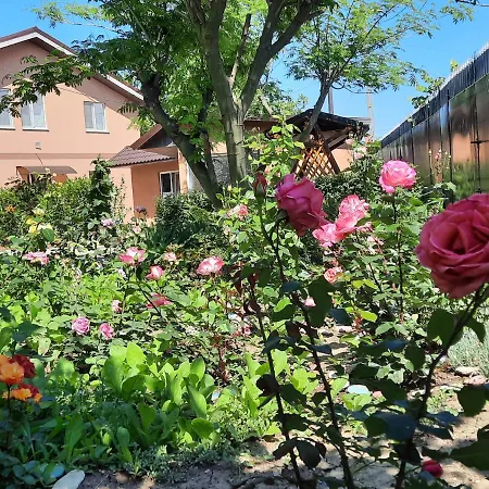 Casa Cu Flori * Tuzla